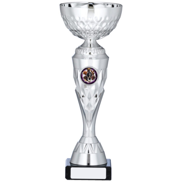 Silver-plated trophy with diamond-cut crystal bowl, ornate decorative stem, centre medallion insert, and black base with engraving plate