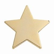 Gold enamel star badge with matching polished gold metal border and secure pin fastening, five-pointed star design on white background