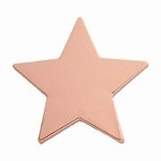 Bronze star-shaped enamel badge with smooth lustrous bronze finish and five pointed star design on white background