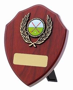 Executive perpetual shield displaying brilliant chrome-effect metal plaques with mirror finish mounted on sophisticated wooden base, designed for high-level professional recognition
