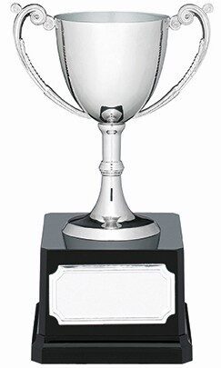 Classic nickel plated trophy cup with twin curved handles, polished finish, wooden base and engraving plate, displayed against white background