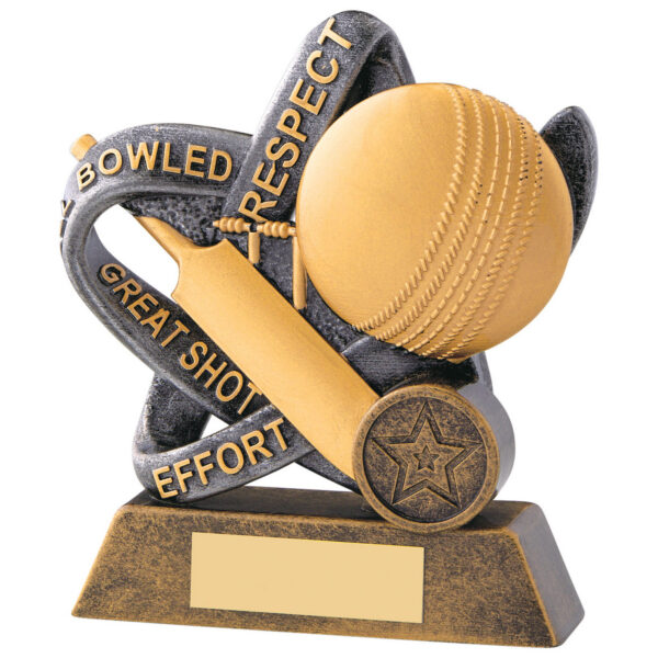Cricket achievement trophy showing bronze and gold cricket bat, ball and decorative ribbons with text reading BOWLED, RESPECT, GREAT SHOT, EFFORT and star emblem on engraving plaque base