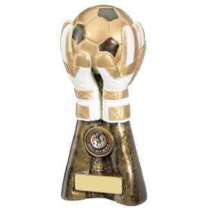 Golden goalkeeper hands trophy holding a football on antique bronze base with engraving plate, showing detailed protective hand positioning and realistic football design