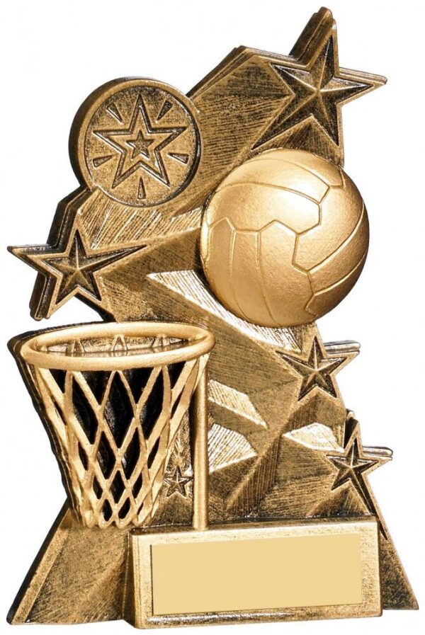 Netball trophy featuring golden netball, hoop with net, and decorative stars on a bronze textured base with engraving plate