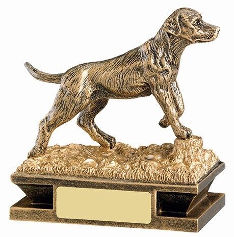 Bronze-effect gundog trophy featuring detailed retriever in field pose on textured grass base with engraving plate