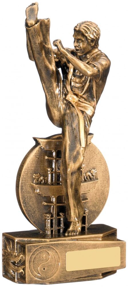 Bronze finish martial arts trophy showing martial artist in gi performing high kick technique with detailed base containing traditional symbols and gold engraving plate