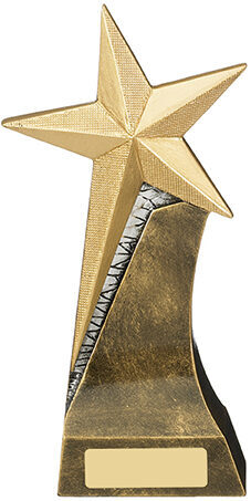 Gold star trophy with textured finish mounted on curved bronze and silver metallic base with rectangular engraving plate at bottom