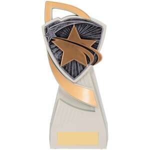 Shield-shaped trophy with bronze star on geometric patterned background mounted on curved gold and silver metallic base with engraving plate
