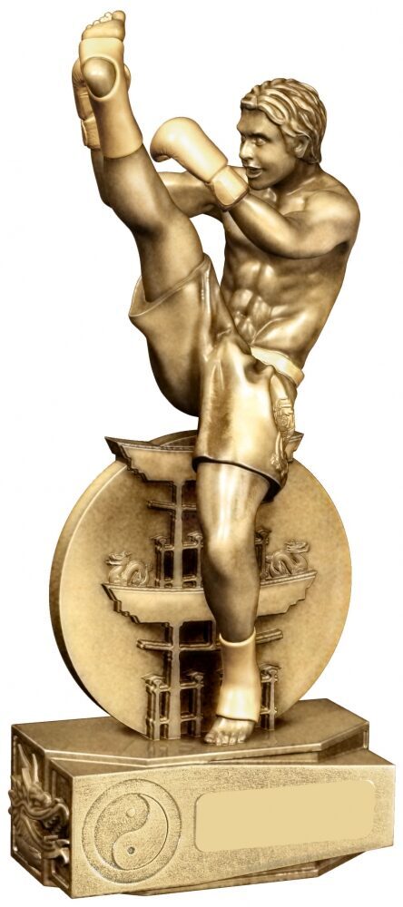 Male Kickboxing Trophy showing muscular male figure performing high kick in antique gold finish, with yin-yang symbol on base and circular decorative backdrop element