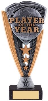 Player of the Year football trophy with detailed ball design, bronze and pewter triangular shield with decorative stars on black base with gold engraving plate