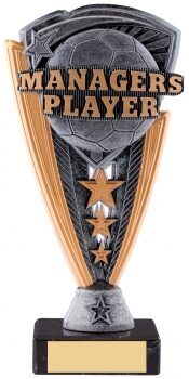 Manager's Player football trophy with detailed 3D ball design, bronze and pewter triangular shield featuring star decorations on black base with gold engraving area