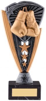 Boxing trophy with realistic bronze boxing gloves, triangular pewter and gold shield design, decorative stars, and black marble base with gold engraving plate