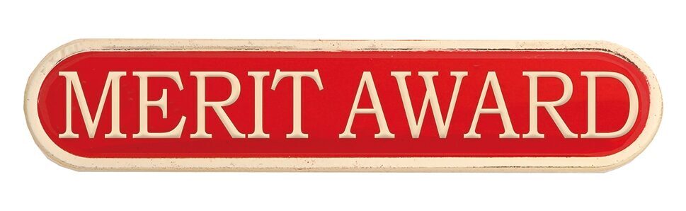 Image coming soon for Red Merit Enamel Bar Badge
