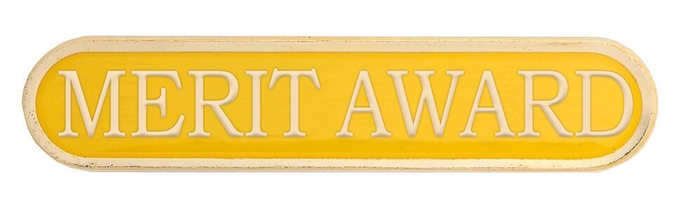 Image coming soon for Yellow Merit Badge