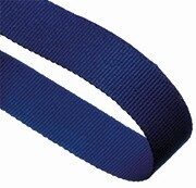 Image coming soon for Blue Ribbon Award