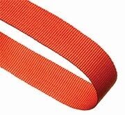 Image coming soon for Orange Ribbon Award