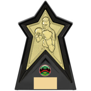 Gold Star Boxing Award
