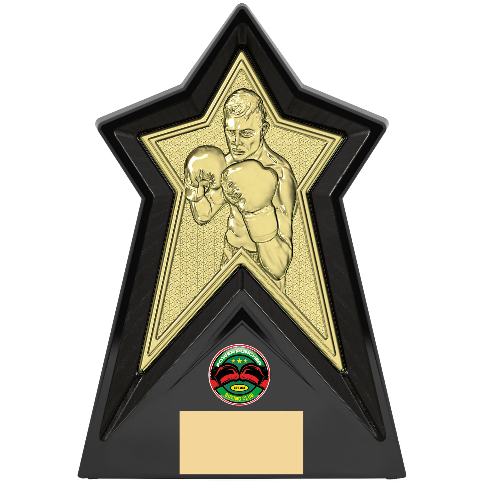 Gold Star Boxing Award