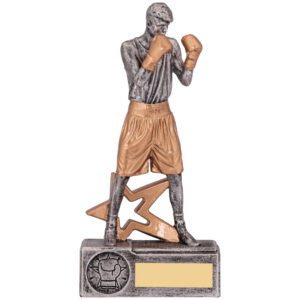 Male Boxing Statue